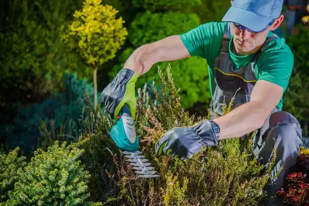 landscaping services Bentleyville